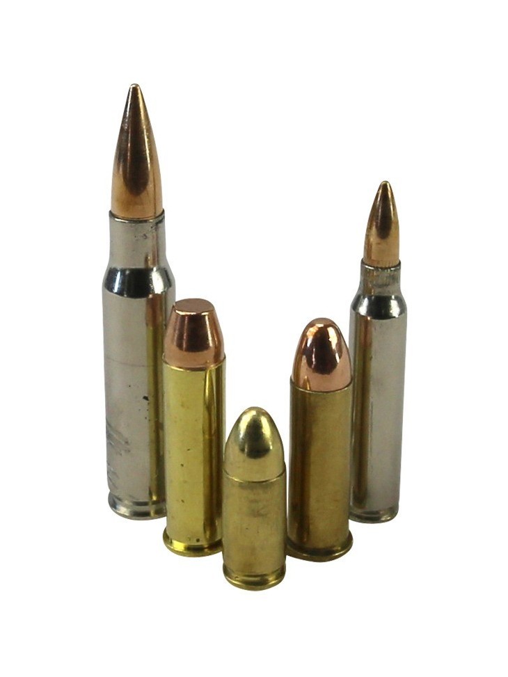 Collectors Bullet Pack Real bullets 5 Different Sizes