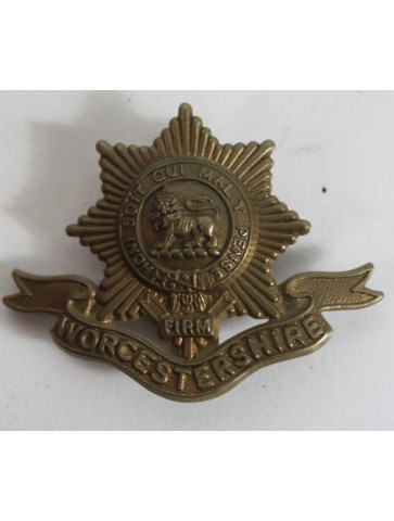 Genuine Surplus The Worcestershire Regiment Firm Cap Badge Metal  (589)